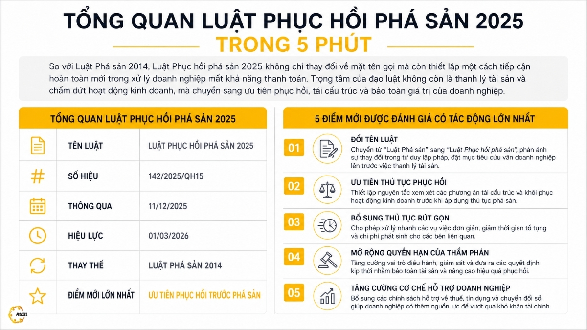 Tổng quan Luật Phục hồi phá sản 2025